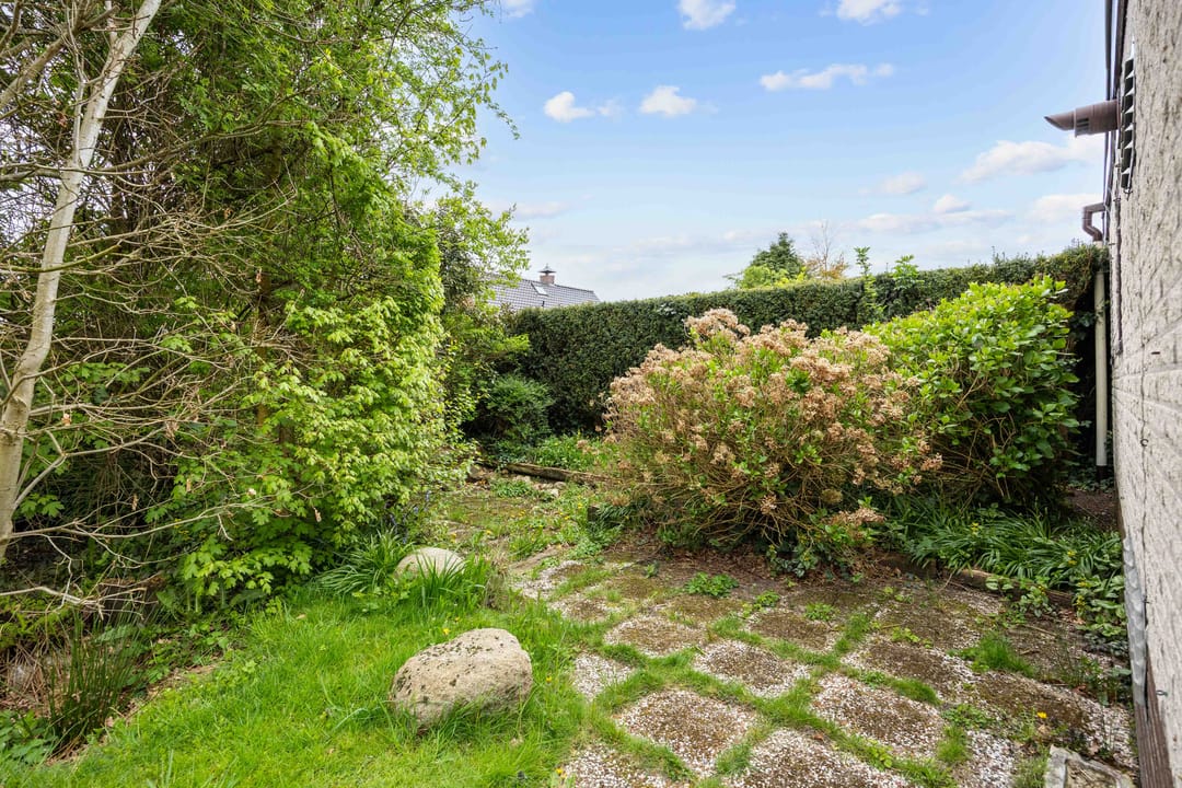 Photo 56 of De Spil 1