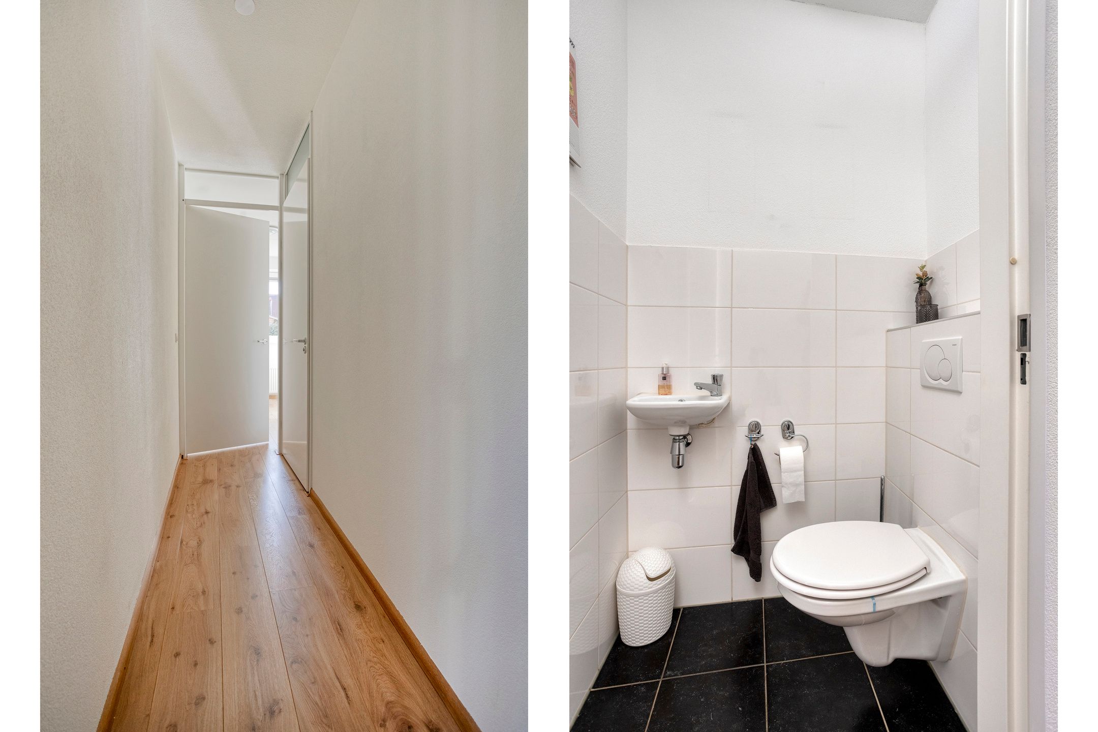 Foto 9 van Parnassia 9