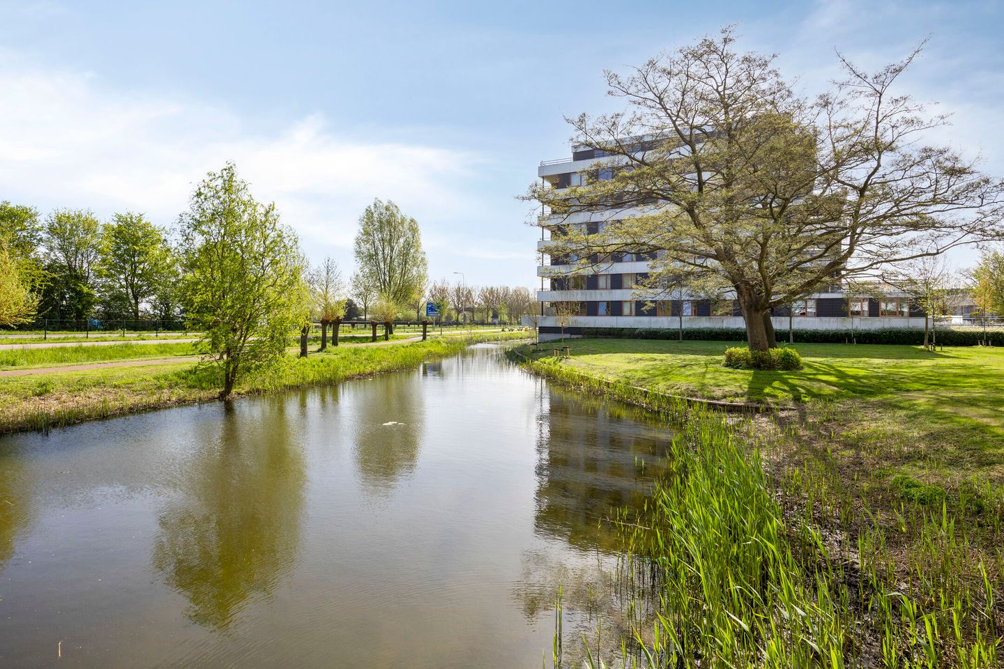 Photo 34 of Koninginneweg 423