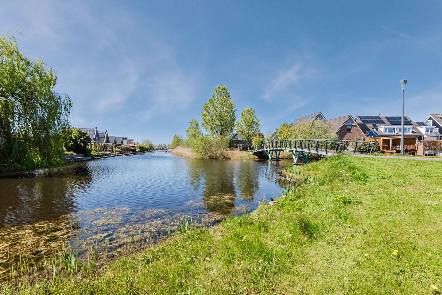 Foto 74 van De Protter 17