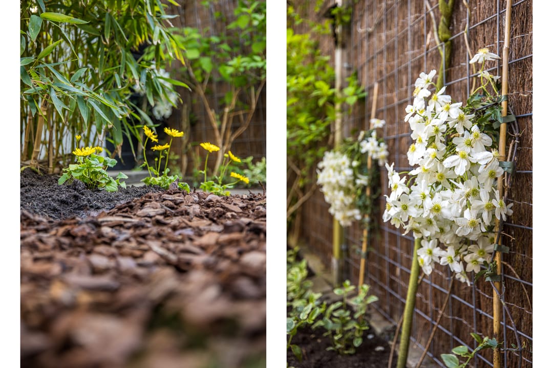 Foto 26 van Vaartscherijnstraat 24