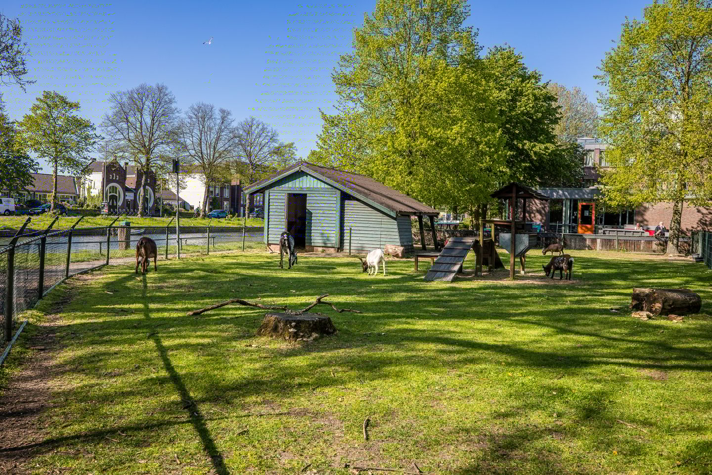 Foto 44 van Vaartscherijnstraat 24