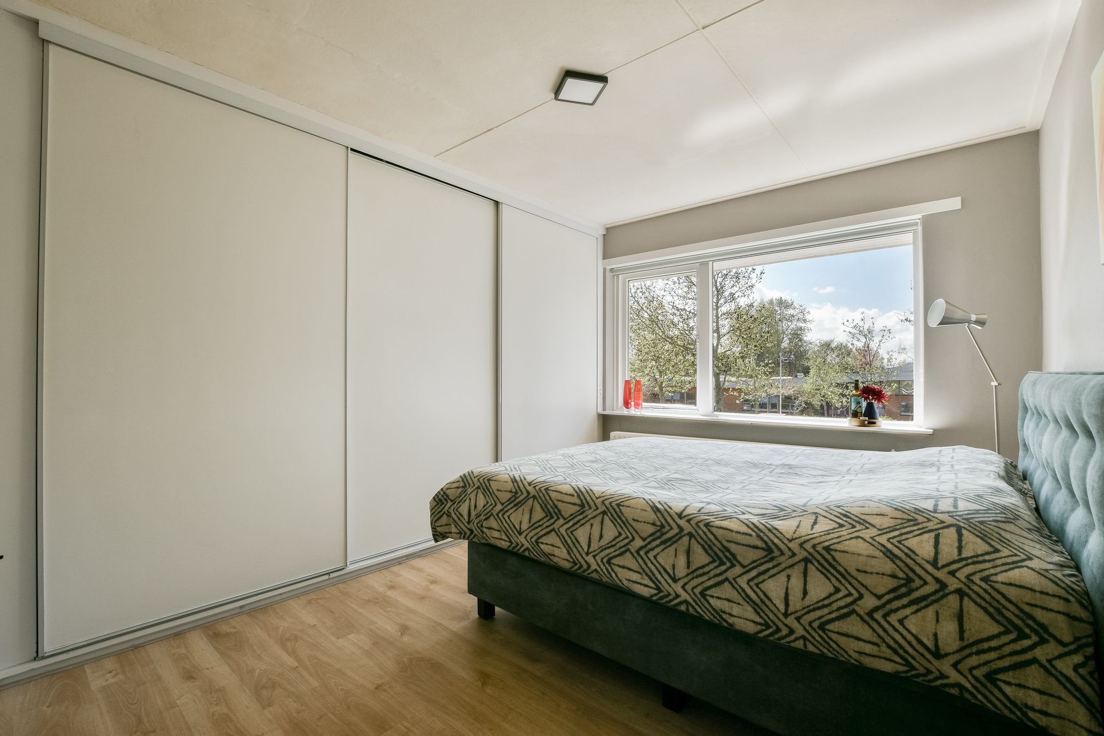 Foto 12 van Menneweg 51