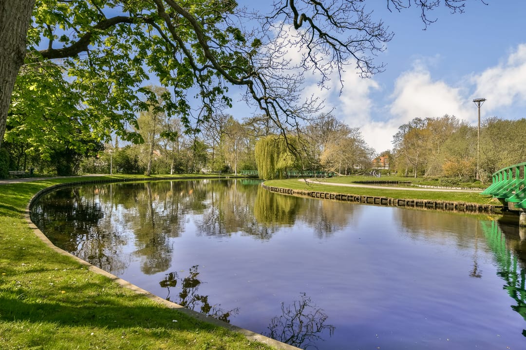 Foto 23 van Menneweg 51