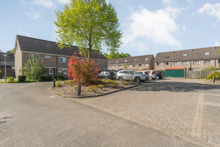 Foto 2 van Bonte Kraai 3