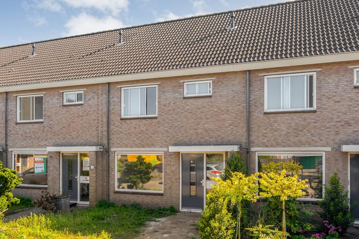 Foto 4 van Bonte Kraai 3