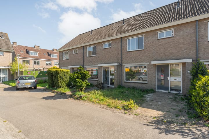 Foto 3 van Bonte Kraai 3