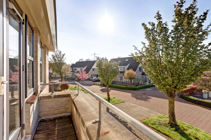 Foto 3 van Twijnspil 42