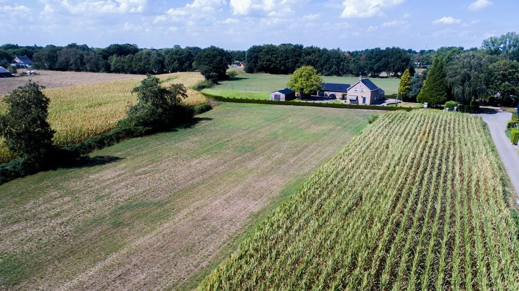 Foto 34 van Het Woud 19