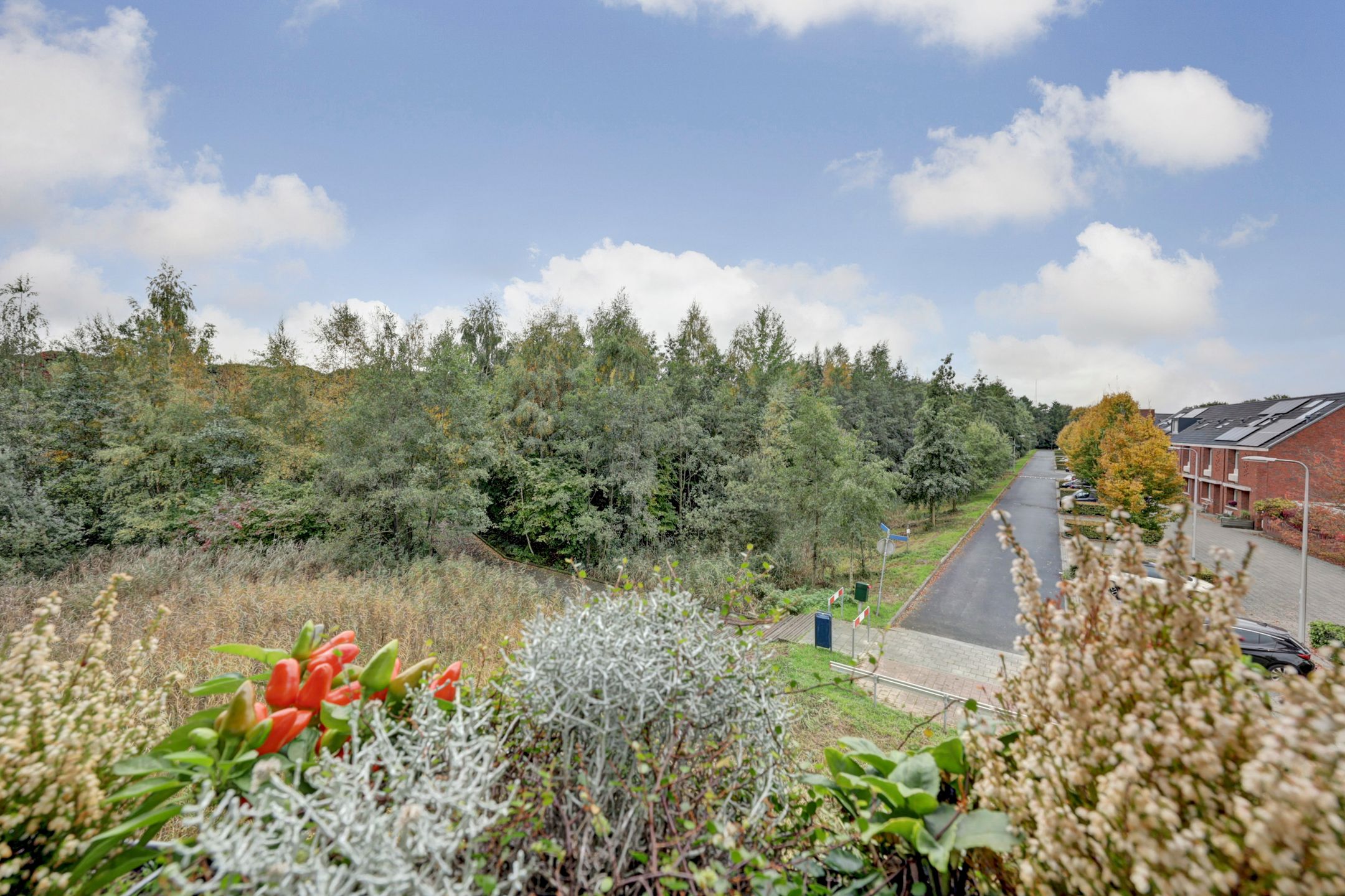 Photo 27 of Puccinistraat 14