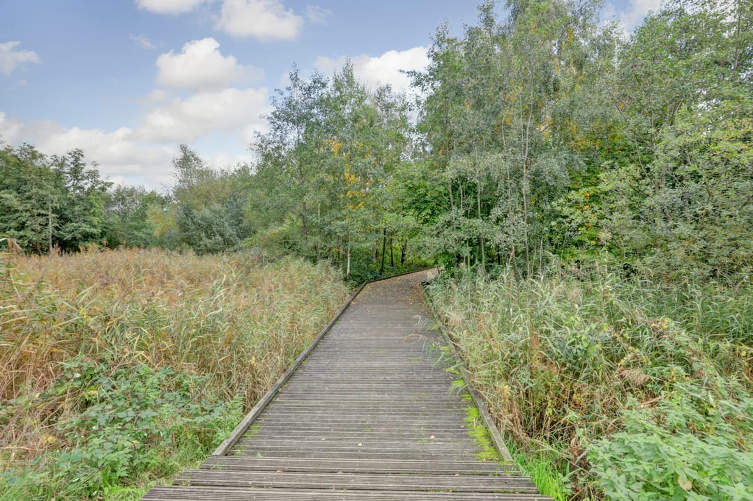 Photo 41 of Puccinistraat 14