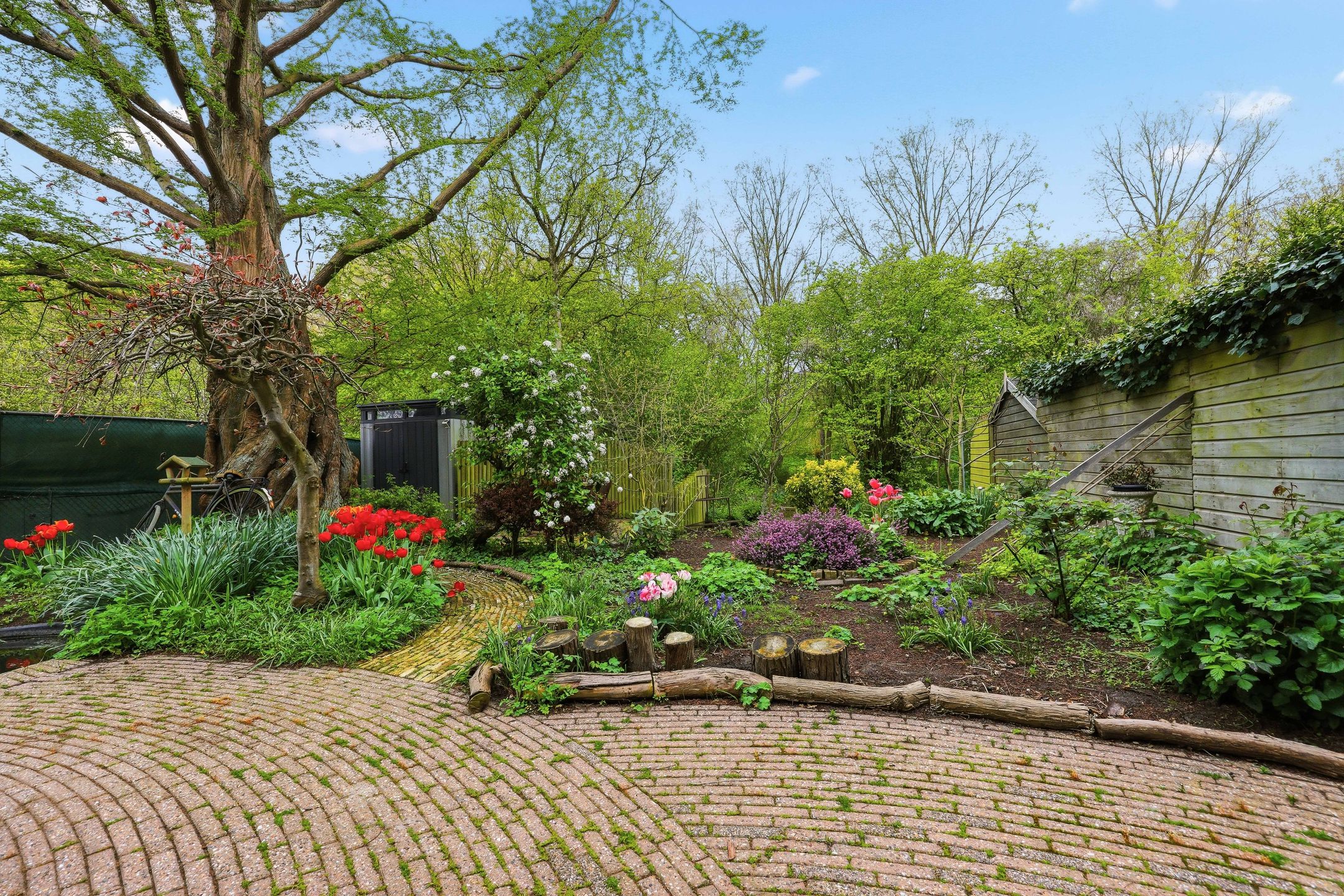 Foto 42 van Langetuin 5