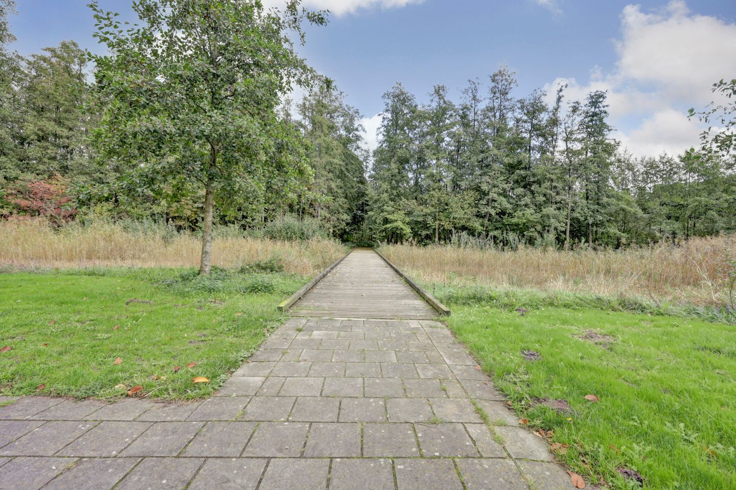 Photo 40 of Puccinistraat 14