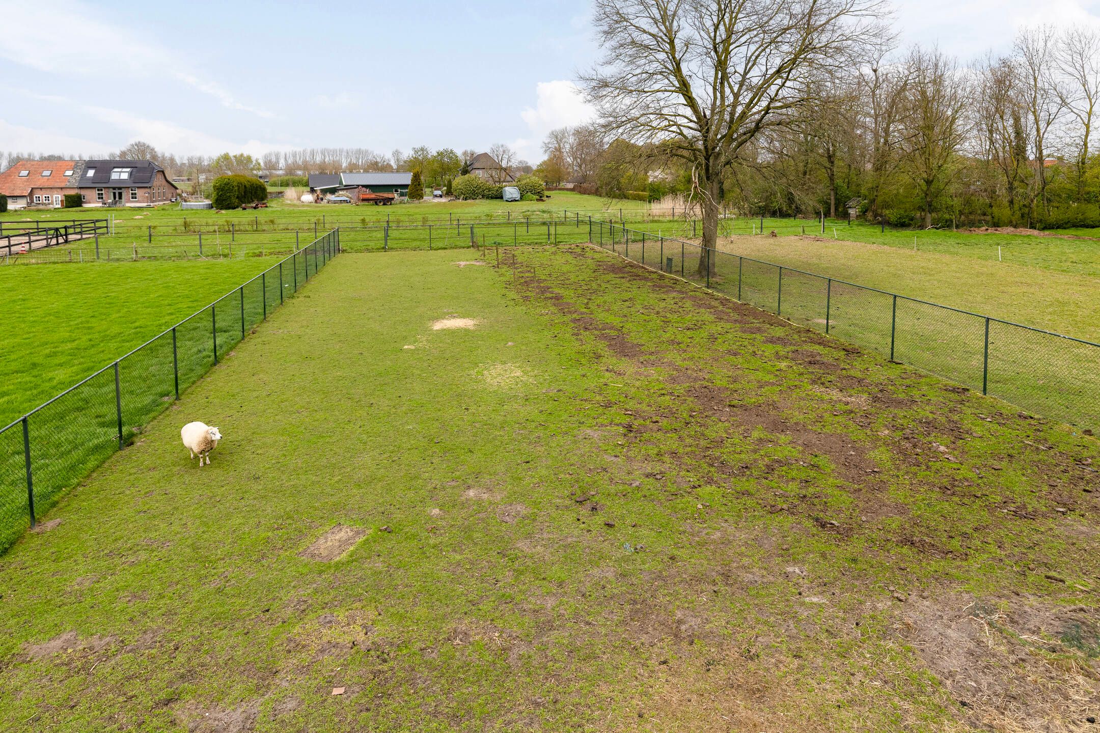 Foto 45 van Laagstraat 12