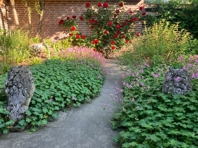 Photo 38 of Harriët Freezerlaan 66
