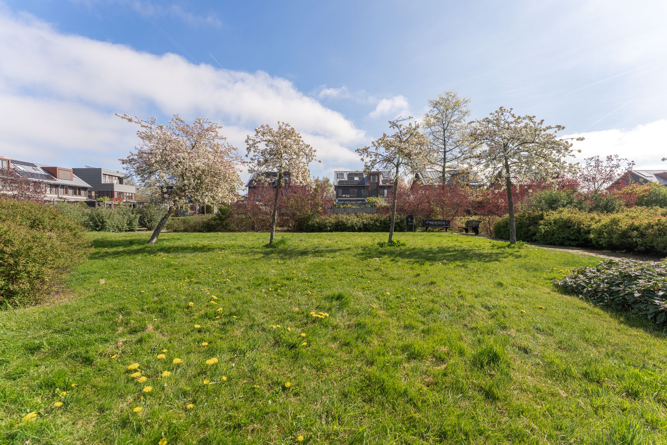 Photo 54 of Westfriese Hof 167