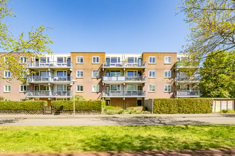 Miamidreef thumbnail