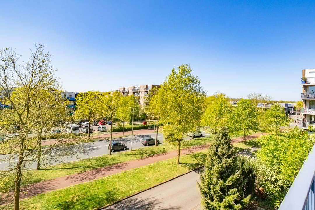 Foto 31 van Miamidreef 31