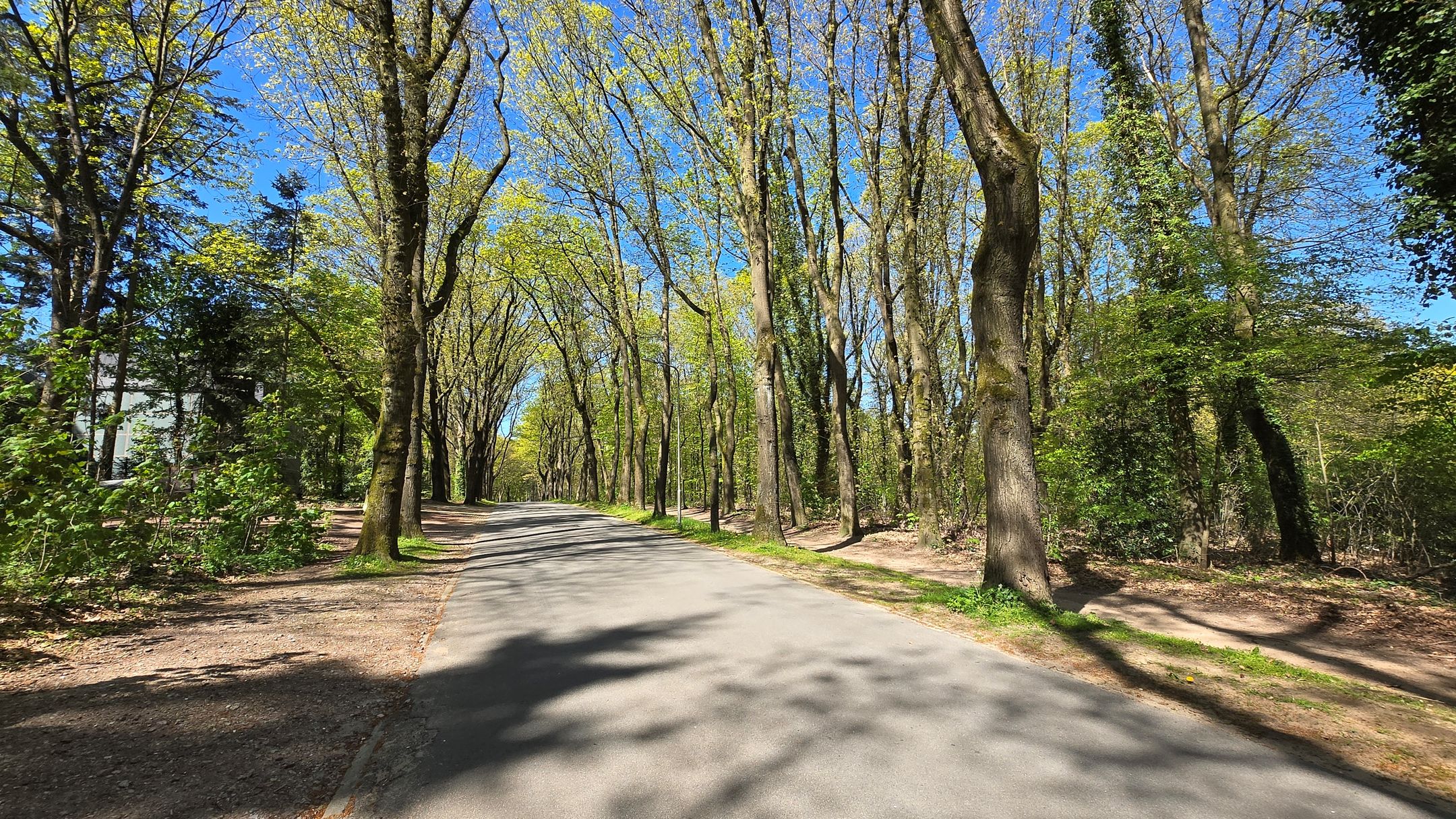 Foto 24 van Graaf van Rechterenweg 53-4