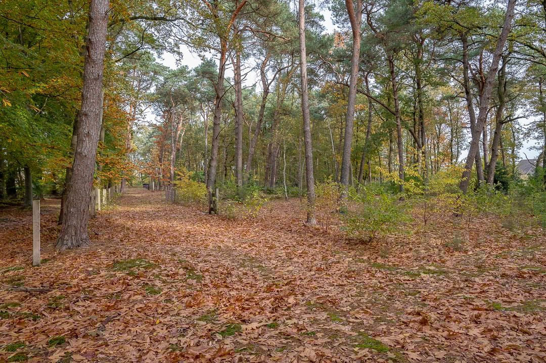 Foto 43 van Kapelweg 14