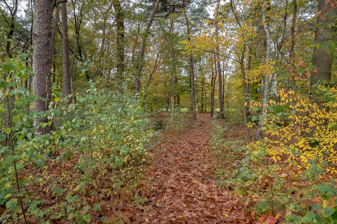 Foto 38 van Kapelweg 14