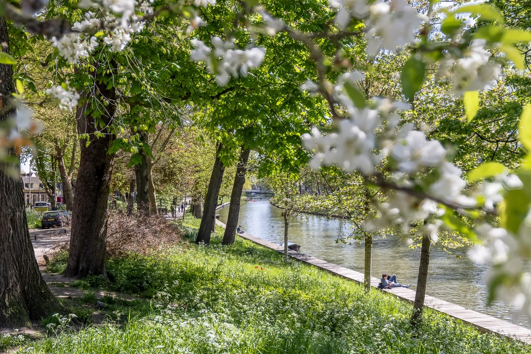 Photo 37 of Geertebolwerk 27