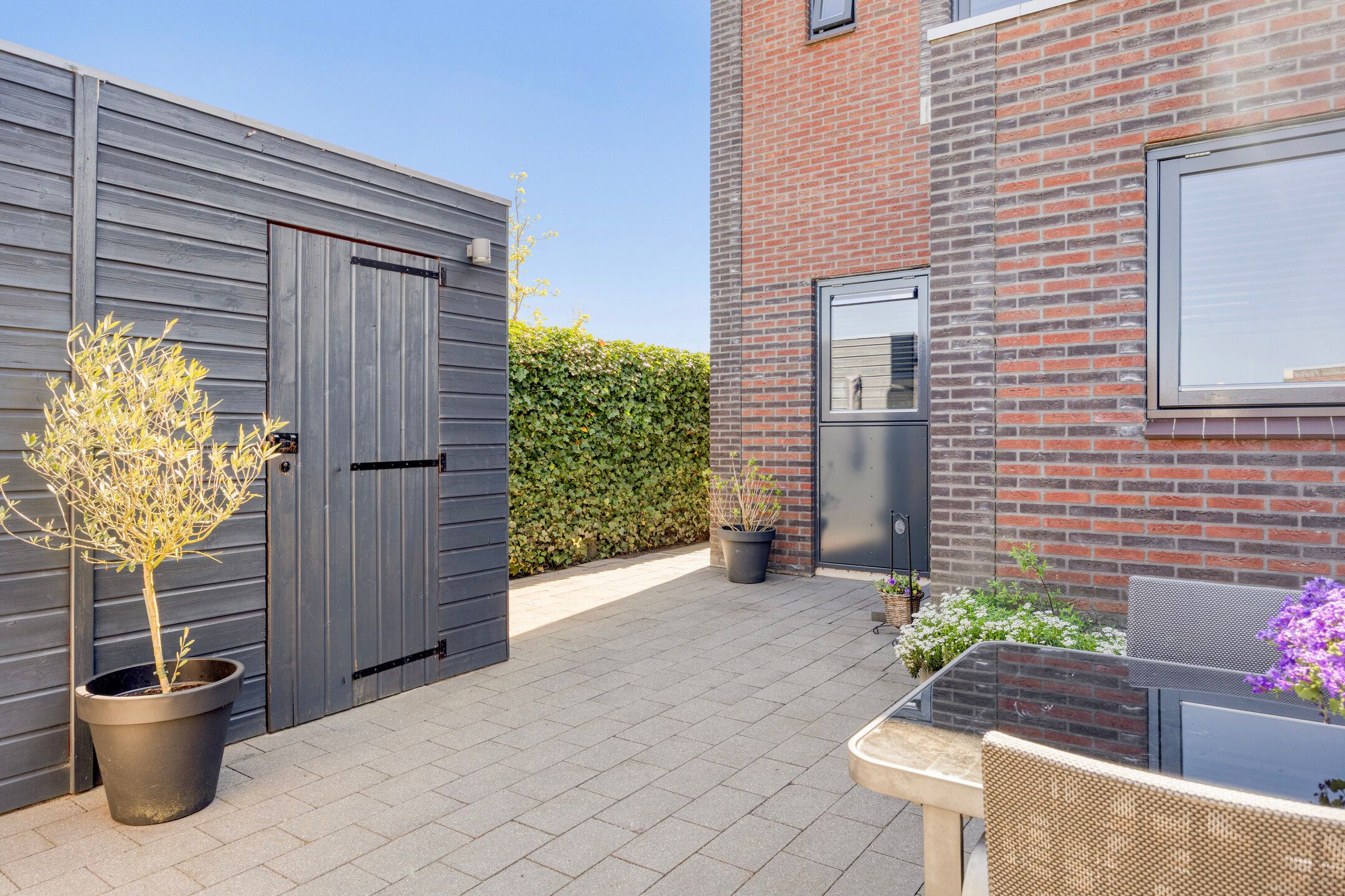 Foto 3 van Fibula 63