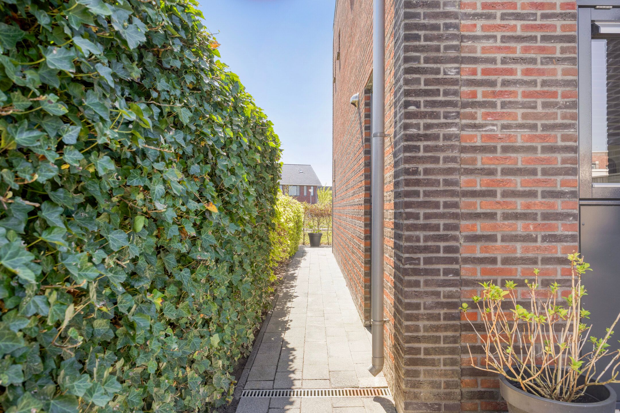 Foto 39 van Fibula 63