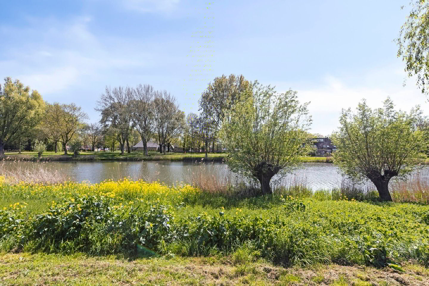 Photo 29 of Oudeland 47