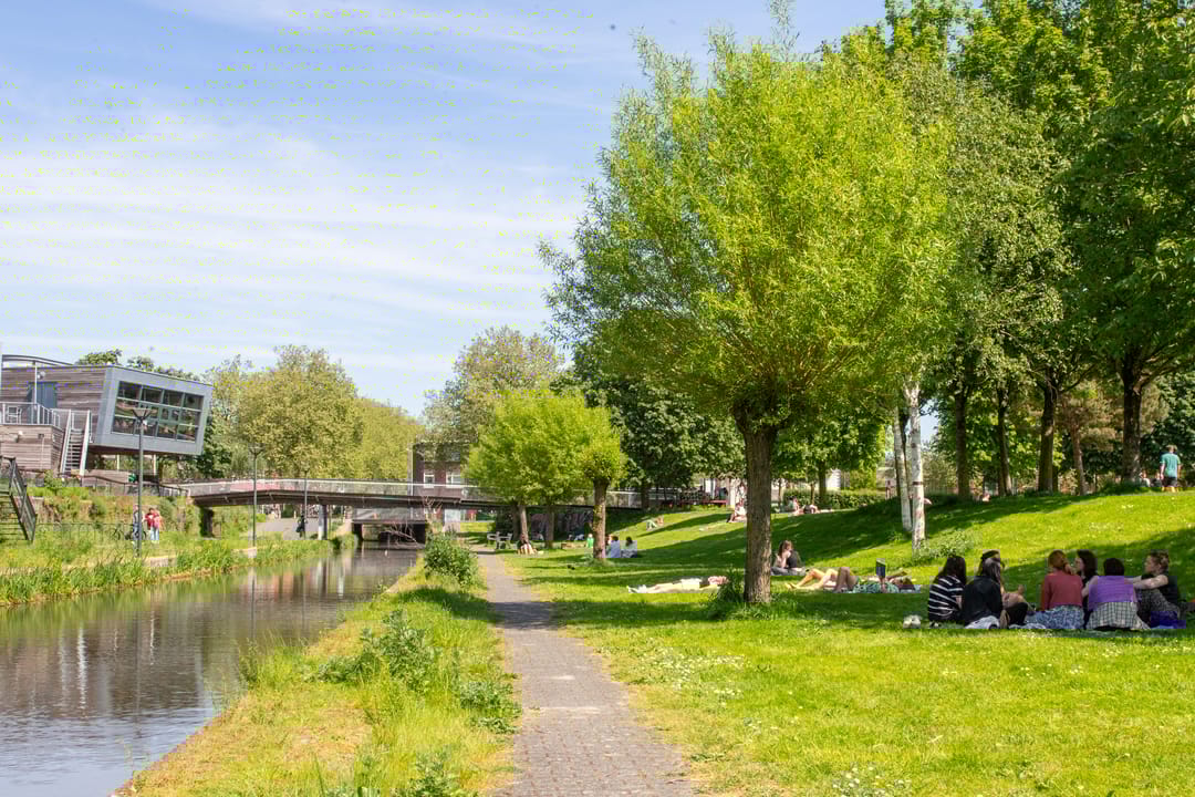 Foto 46 van Zandhofsestraat 36