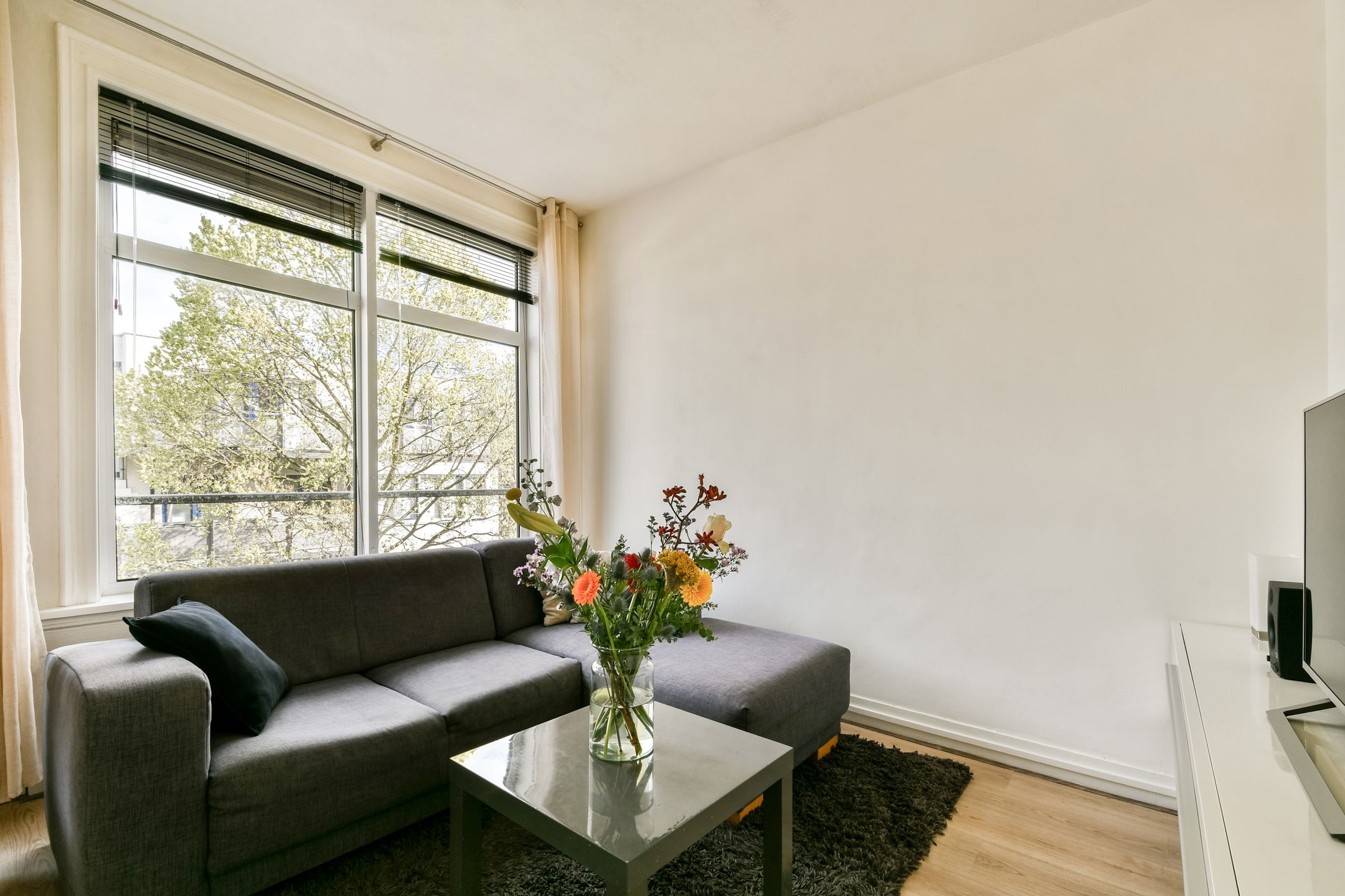 Foto 6 van Borgerstraat 227-3