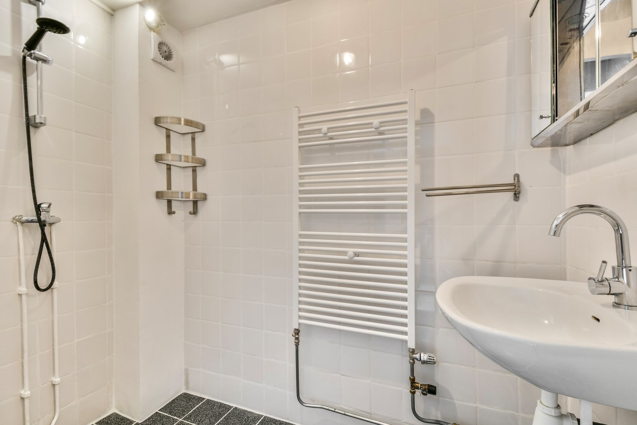 Foto 18 van Borgerstraat 227-3