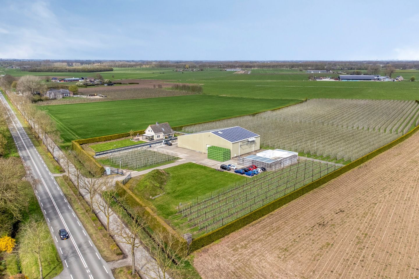 Rhenoyseweg 22 - Rhenoy - Afbeelding 3