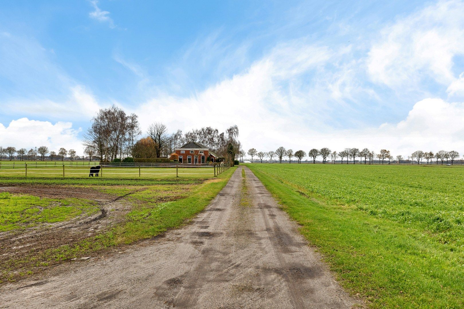 Foto 3 van Wilhelminawijk 10