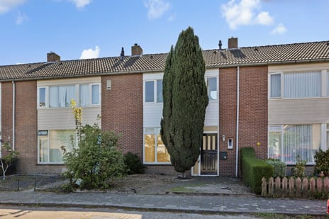 Klaverdries thumbnail