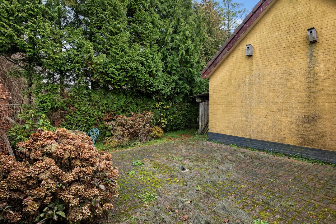 Foto 38 van Wilhelminawijk 10