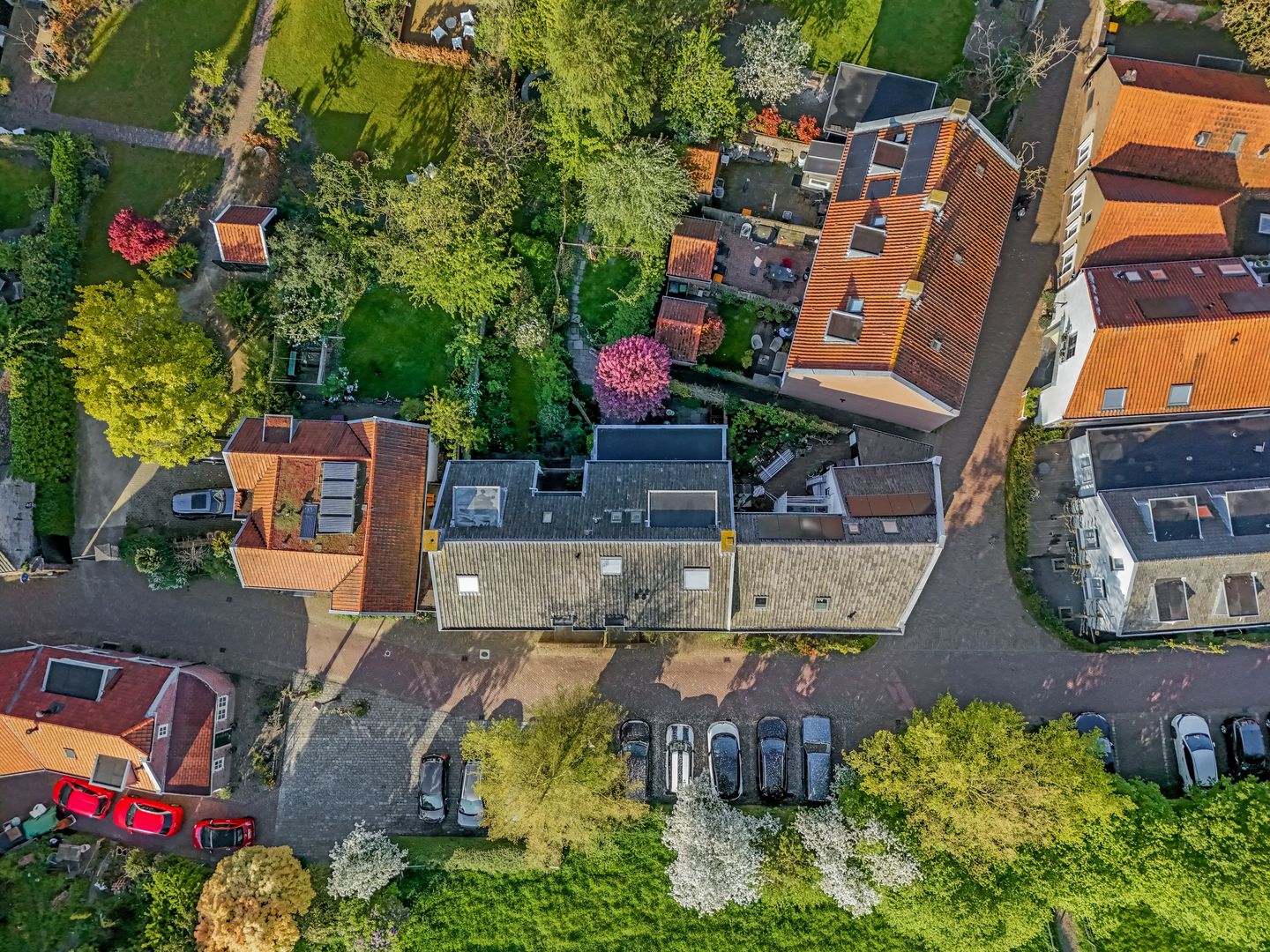 Foto 50 van Walplantsoen 18