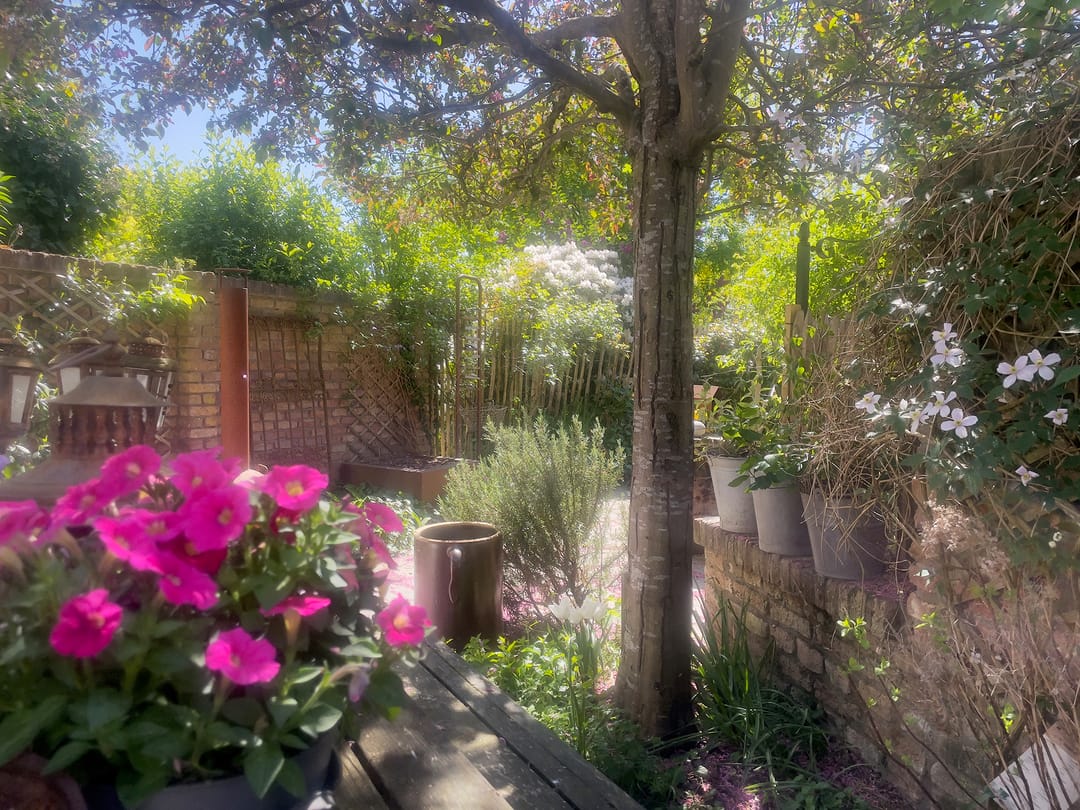 Foto 43 van Walplantsoen 18