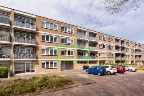 undefined main image