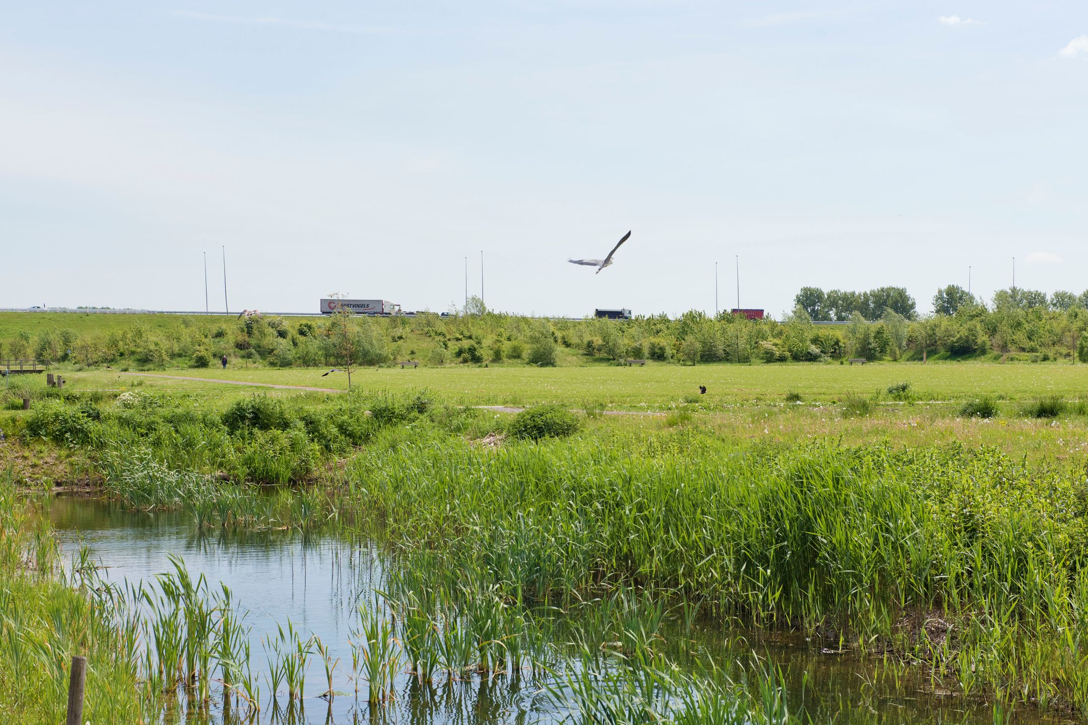 Foto 30 van Populierenlaan 205