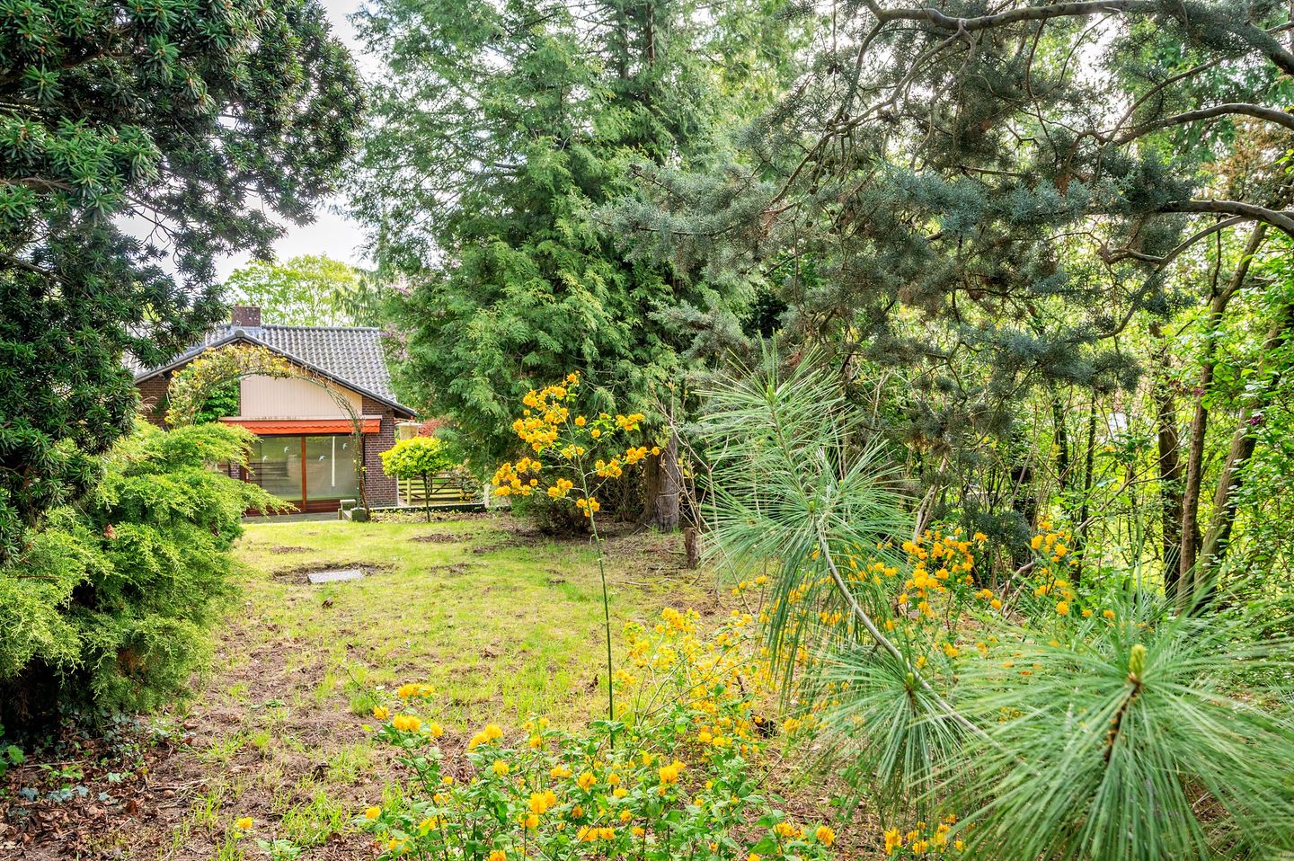 Foto 5 van Roermondseweg 82