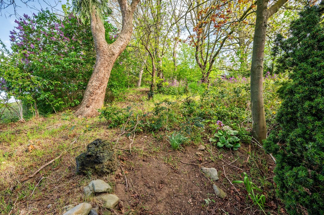 Foto 47 van Roermondseweg 82