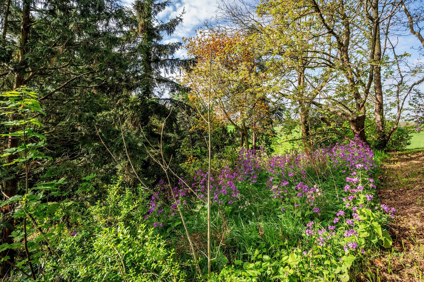 Foto 50 van Roermondseweg 82