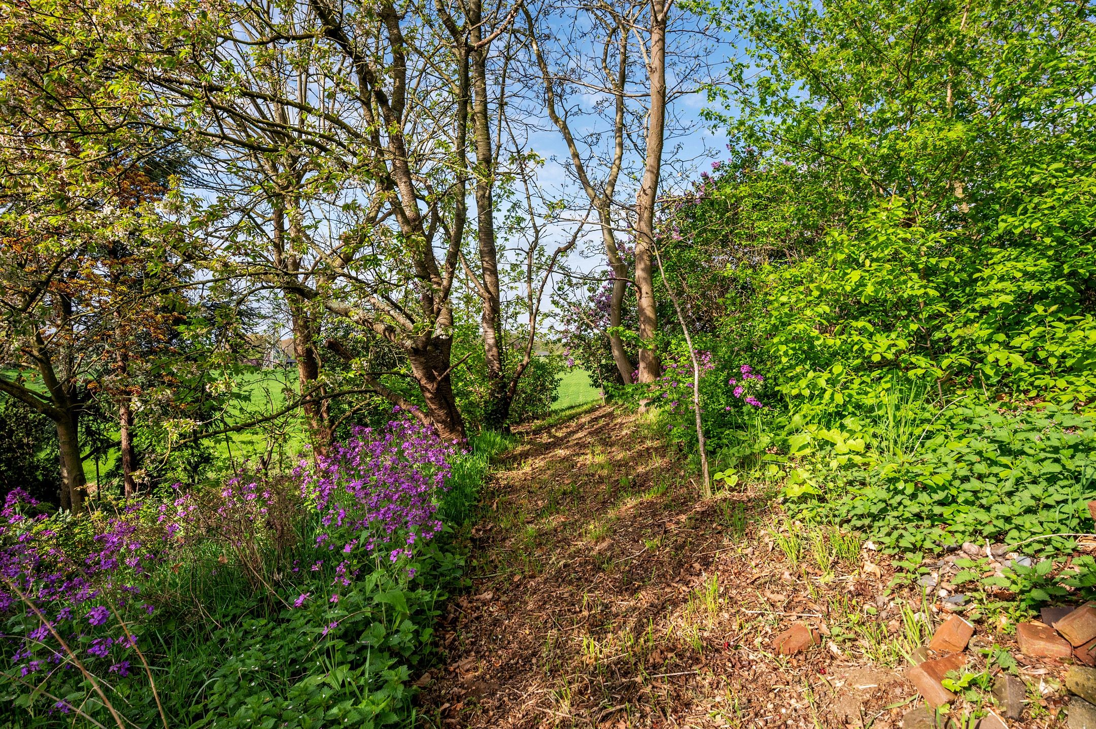 Foto 48 van Roermondseweg 82