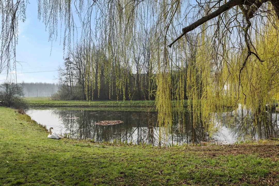 Foto 56 van Kraanvogellaan 55