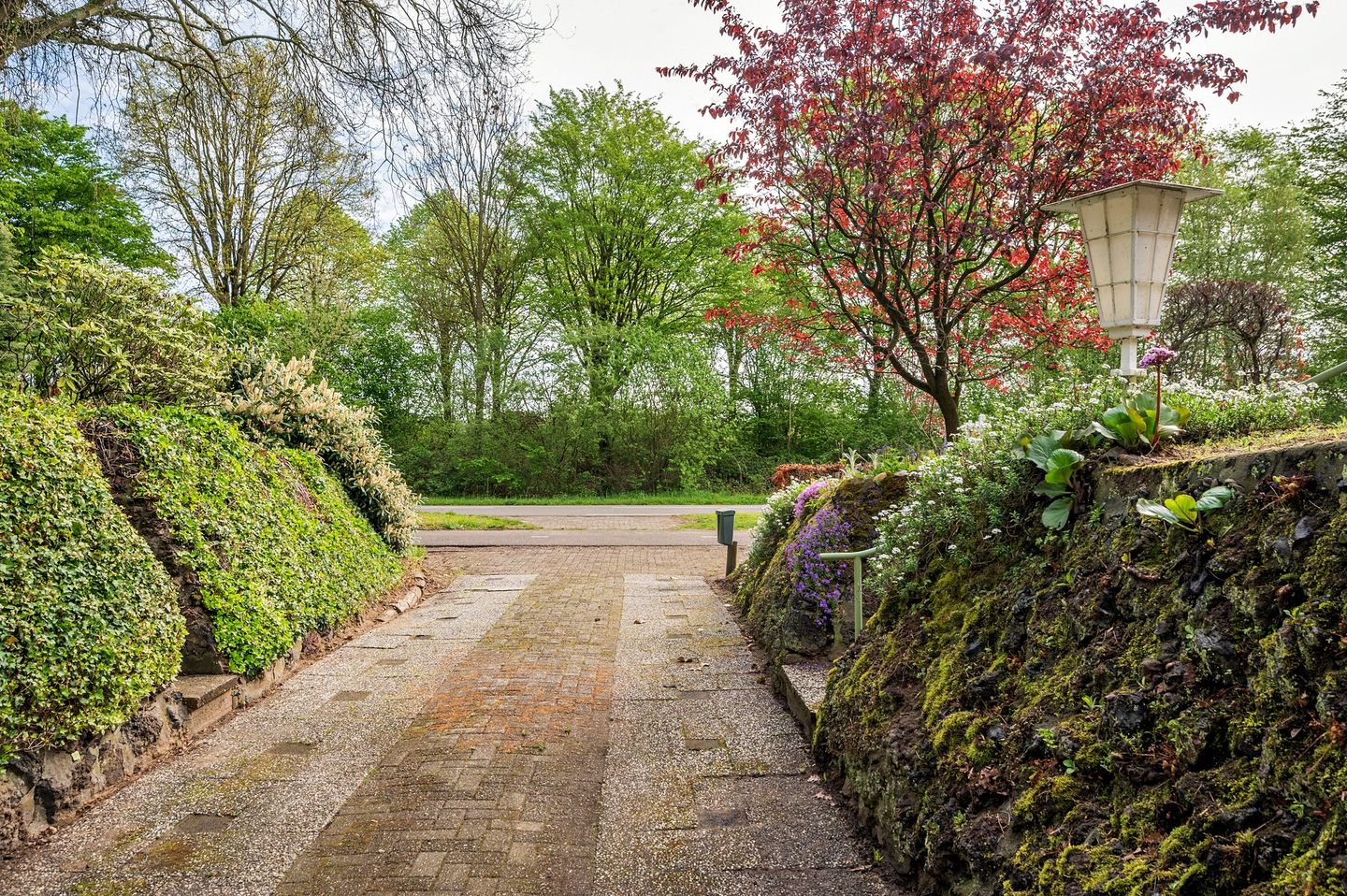 Foto 65 van Roermondseweg 82