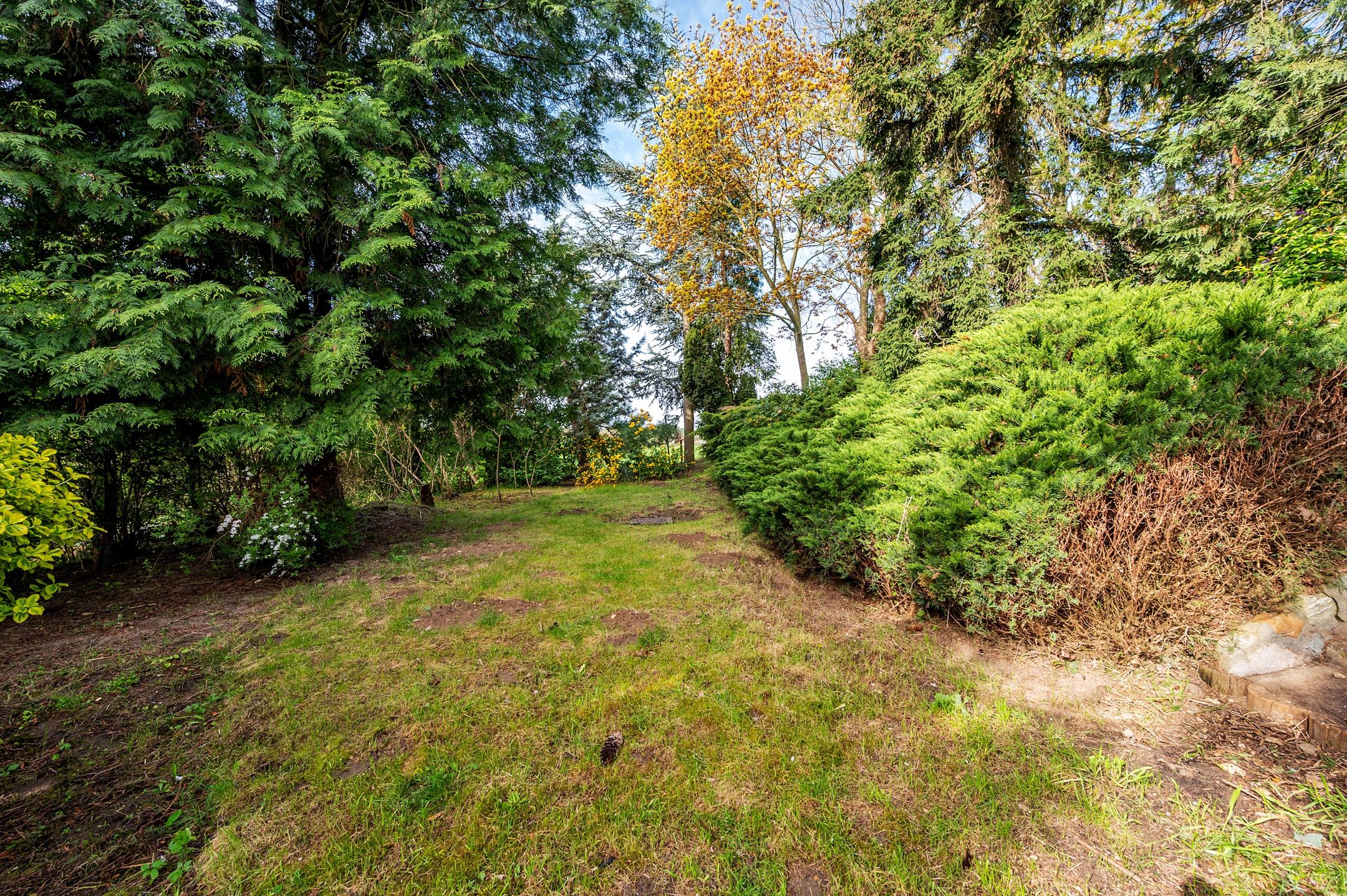 Foto 45 van Roermondseweg 82