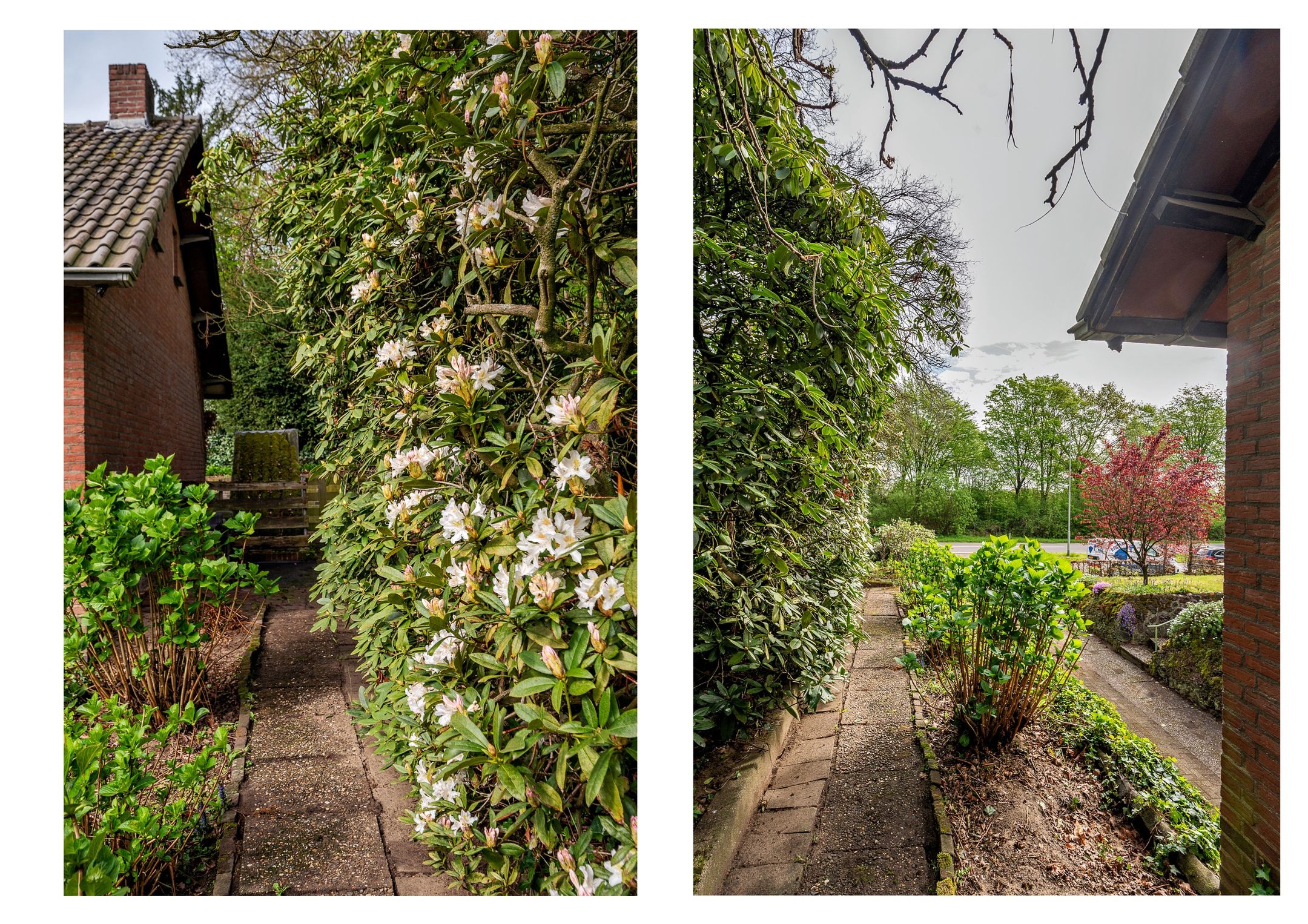 Foto 60 van Roermondseweg 82