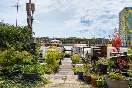 Levantkade thumbnail