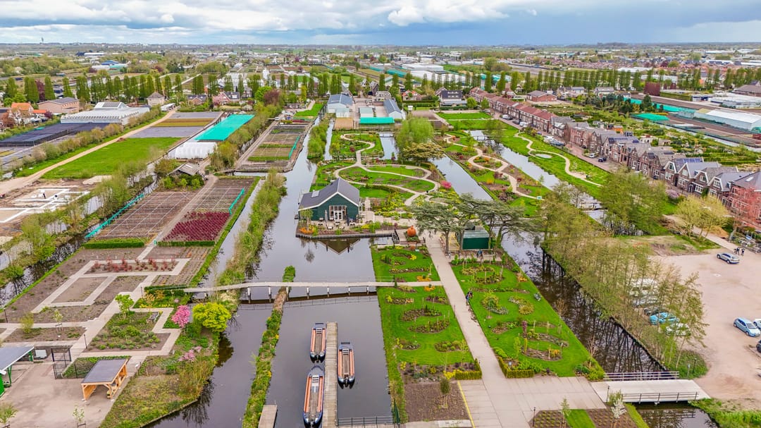 Foto 43 van Reijerskoop 121